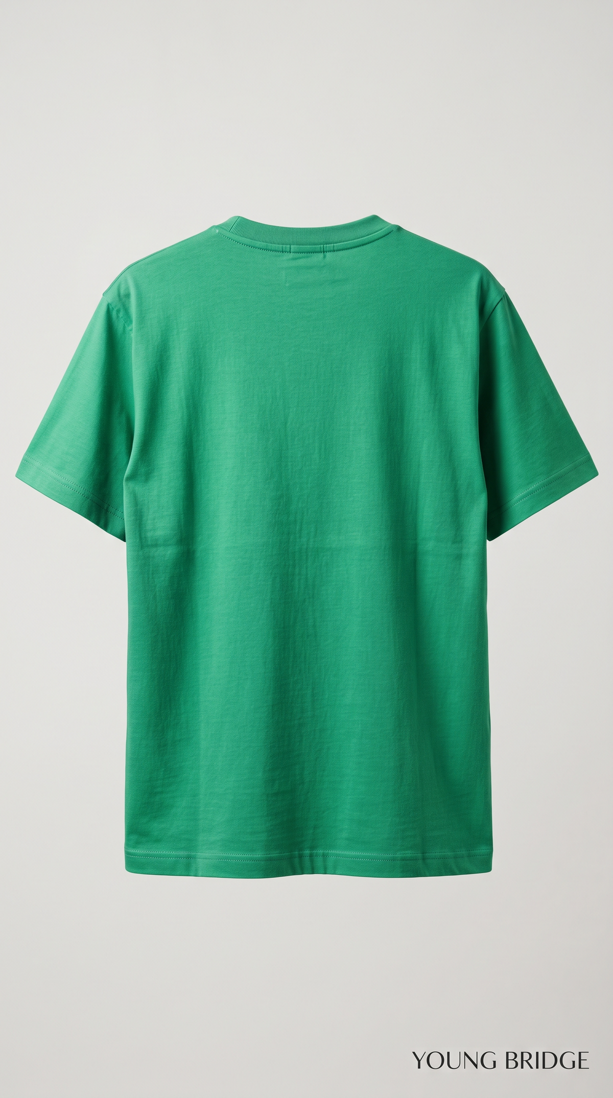 Men's Classic Crewneck Tee Parrot Green